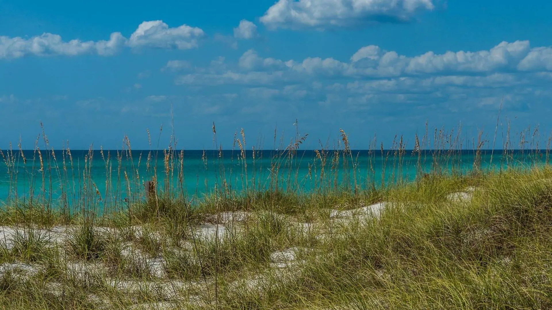 Aqua Resort 1111 By Emerald Coast Retreats Panama City Beach Apartman